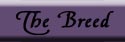 the breed