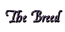 Breed